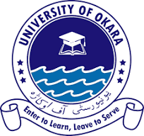 New University of Okara Jobs March 2025