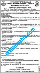 Latest PITB Jobs 2025 - Punjab Information Technology Board