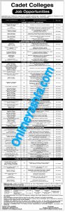 Latest CCL Jobs 2025 - Cadet College Larkana